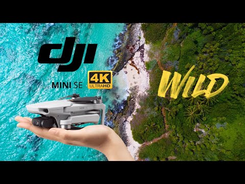 NATURALEZA HERMOSA 🌴😍 - Drone 4K ULTRA HD 🎥