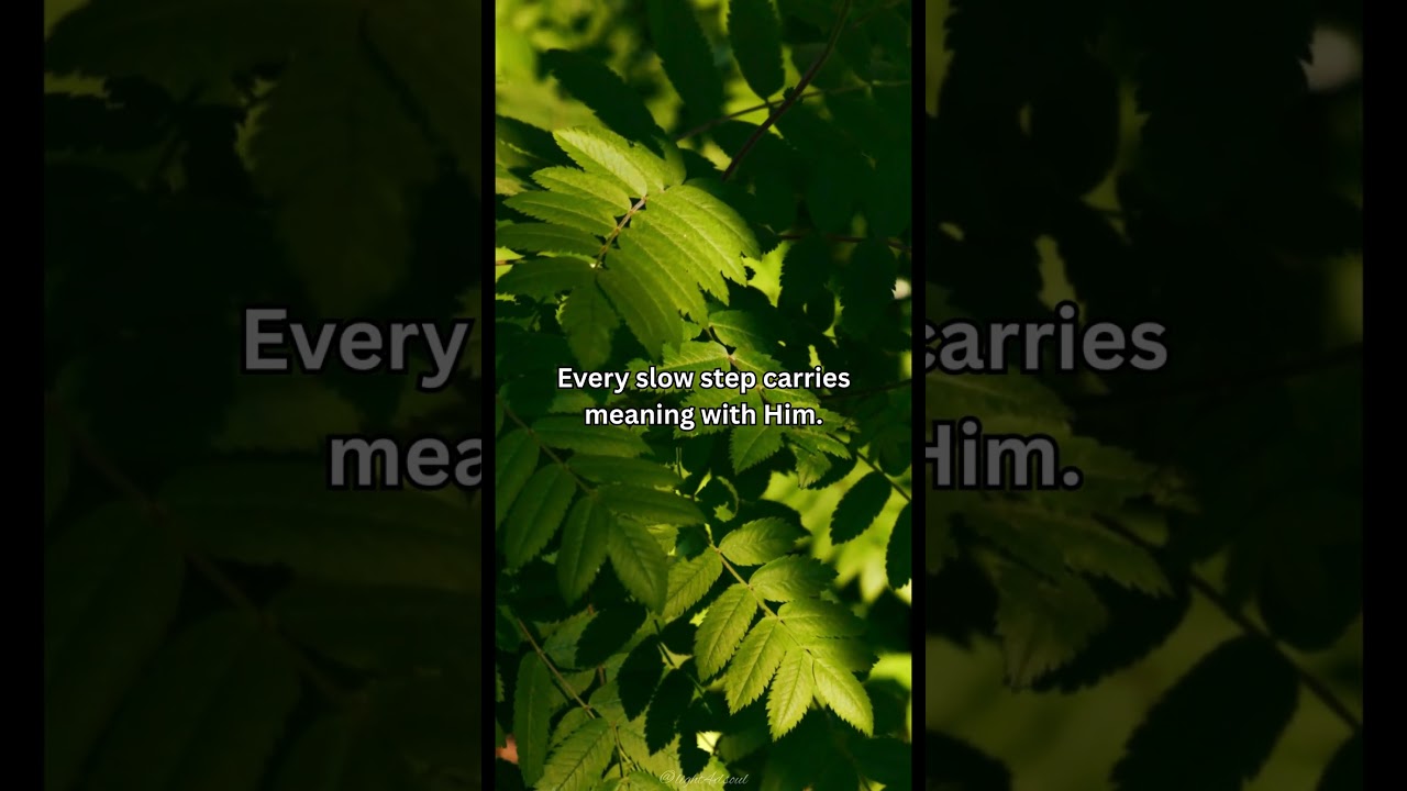 ✨ You’re Not Behind — God Is Leading You | Christian Motivation | Light For The Soul 🙏