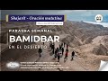 ✨ Shajarit de Shabat Bamidbar 2025 | Alianza AniAMI | Rabino Dan ben Avraham