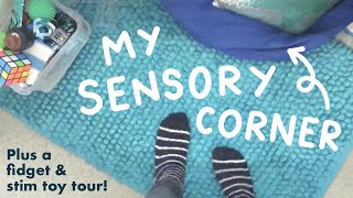 My Sensory Corner and Fidget Toy Tour! | 21andsensory