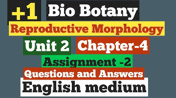 11th EM Bio Botany Unit 2 Chapter 4 Reproduction Morphology Assignment 2 Questions and Answers