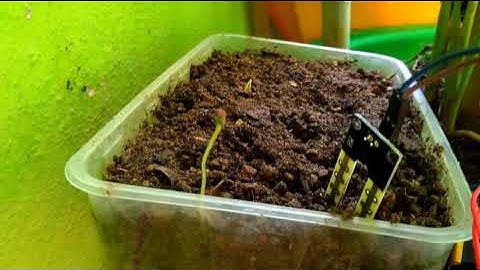 IoT using Arduino - Project assignment for Skyfi Labs online course - by my team