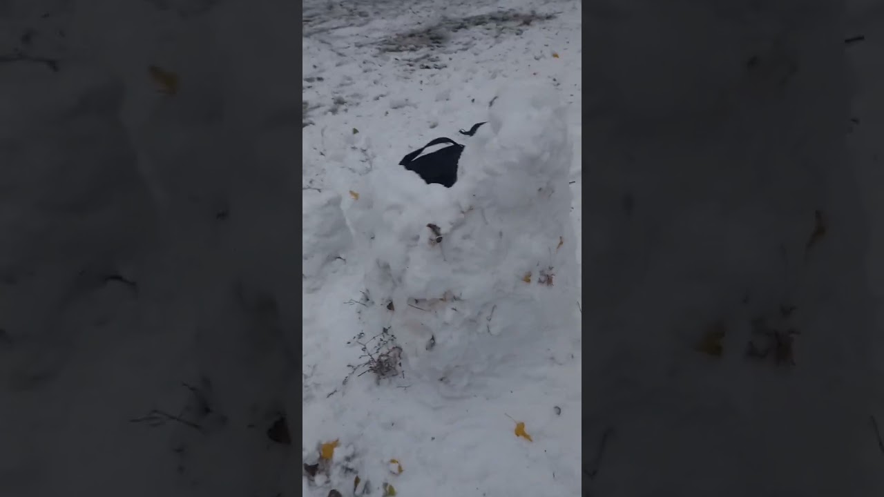 СУПЕР МЕГА ПУПЕР ДУПЕР МЕГА СУПЕР ТРОН 