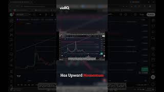 NCT Massive Upside, Minimal Fiat Is it the next 10x