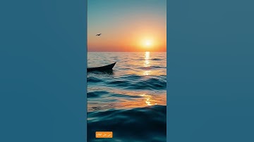 قرآن كريم سورة النحل بصوت القارئ الشيخ ماهر المعيقلي