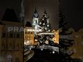 ЯРМАРКА В ПРАГЕ | ЧЕХИЯ #christmas #prague #cz #czech #praha #прага #чехия #ярмарка