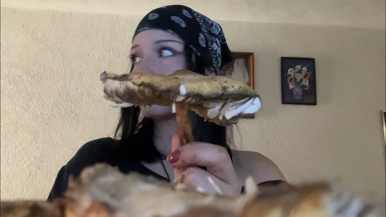 ASMR con honguitos UuU