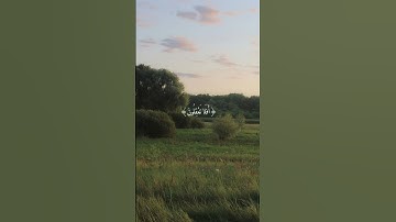 قران💗 سوره البقره #اتامرون الناس بالبر وتنسون انفسكم وانتم تتلون الكتاب #اجر #سورة_البقرة #قرآن