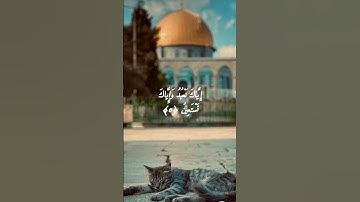 سورة الفاتحة..... بصوت قرآني شجي