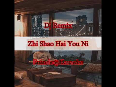 zhi shao hai you ni (dj remix)