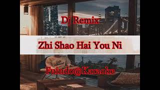 zhi shao hai you ni (dj remix)
