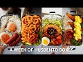 【A week of husband lunch boxes】#37 back to real life🏡