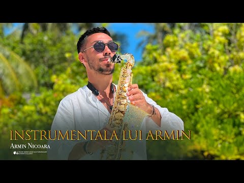 Armin Nicoara -