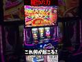 剥ぎ取りチャンスG中に椛‼︎!x9は何が起きる⁈【Lモンハンライズ　LIVE切り抜き】