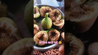 कोशिश करते रहो 🤩🤗#renupahadirasoi#funny#short#food#pahadi#Timil#comedy#ytshorts