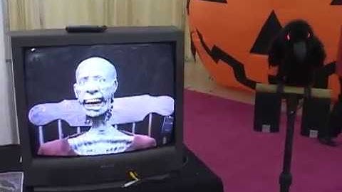 Animatronic Raven Crow & Peter O