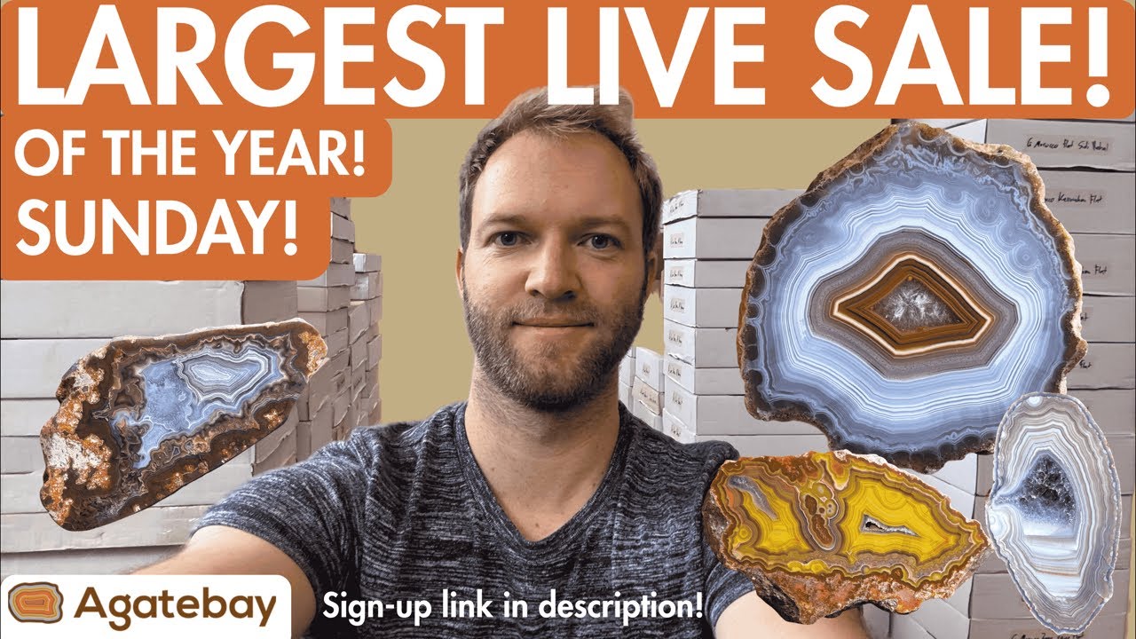  MEGA LIVE SALE RARE FINDS From Munich Show NEVER OFFERED BEFORE Specimens The Collection