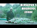 Maqbool uzi scene in mirzapur 2