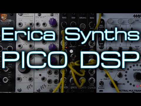 Erica Synths - PICO DSP