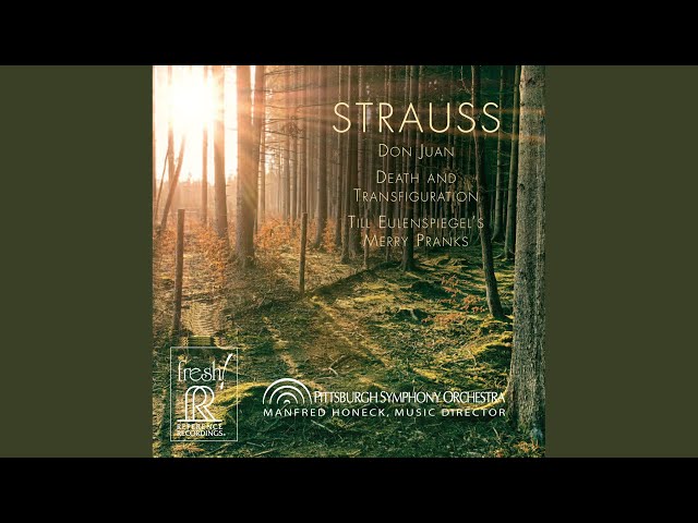 Till Eulenspiegels lustige Streiche, Op. 28, TrV 171 (Till Eulenspiegel's  Merry Pranks) - YouTube