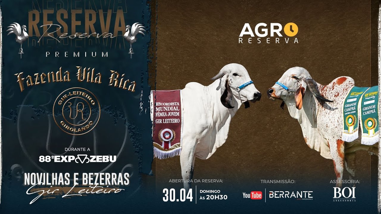 Semana do Zebu apresenta lives com foco nos leilões da 86ª ExpoZebu