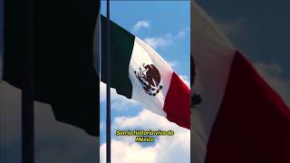 ¡Los símbolos patrios que nos unen! #simbolos #patria #mexico #foryou #fyp