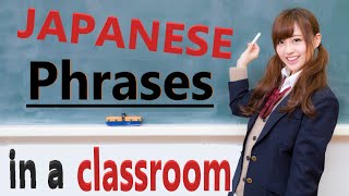 Basic Japanese Phrases in a Classroom for beginners