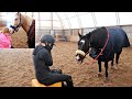 Crying In Front Of My Horse To See What He Does.   A Does My Horse Love Me Challenge!