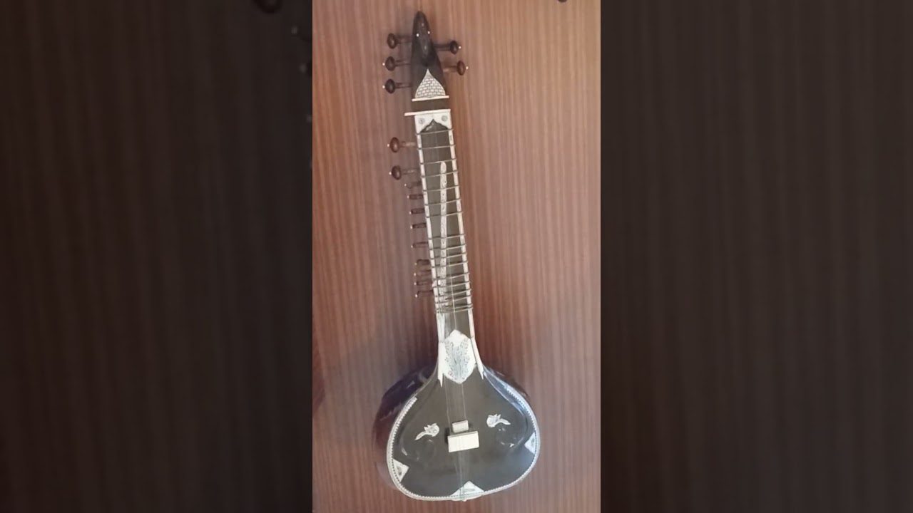 La Senda de los Elefantes (Miguel Angel Gonzalez Aguado) - video vertical