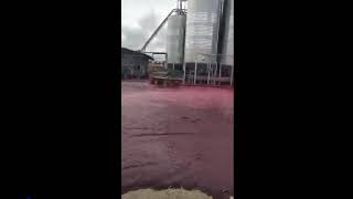 Red Wine Explodes From Winery Tank