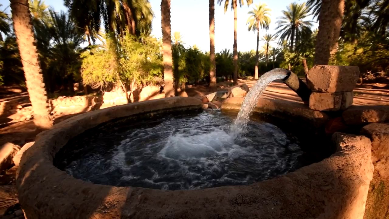 اولاد جلال وطن المحبة   Ouled Djellal