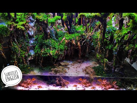 #155-membuat-hutan-tropis-didalam-aquarium,gilaaakkk-mirip-banged-sama-hutan-asli-!!!