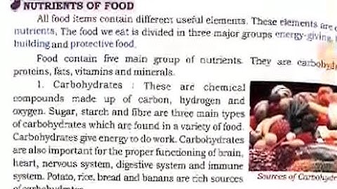 Class 4 - Science - Chapter 1 - Food & Digestion Part 2