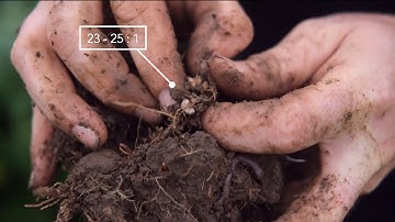 Carbon to Nitrogen Ratios | 60 Second Lectures