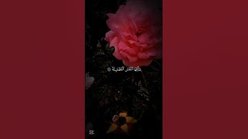 احترم القران الكريم ❤️ #اكسبلور
