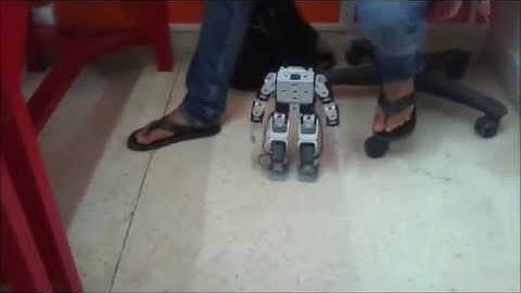 Bioloid takes first steps