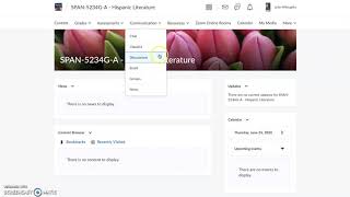 Overview of Folio