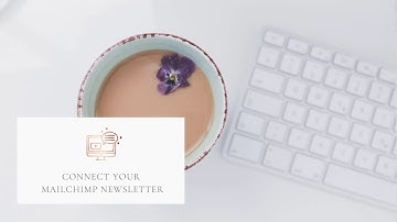 connect your mailchimp newsletter soulful wordpress theme