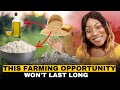 The 5,000-Year-Old Crop That's Creating Modern Millionaires in Africa