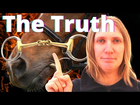 The Shocking Truth About Bits for Horse Riders