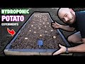 The Hydroponic Potato Experiments