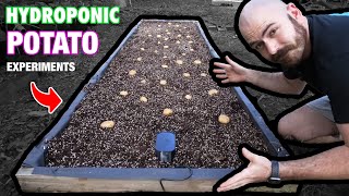 The Hydroponic Potato Experiments