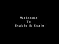 Welcome to stable  scale