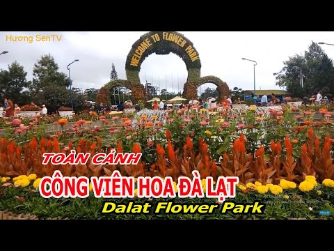 Vườn Hoa Đà Lạt - Vườn Hoa Đà Lạt 2020 | Dalat Flower Park