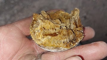 Seriously failed balsa core on GRP yacht.