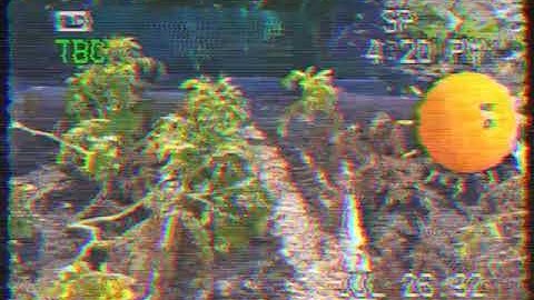 d41d8cd98f00b204e9800998ecf8427e