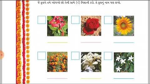 ENV | STD-4 | LEC-12(1) | CH-11(PART-1) | PATHAK SCHOOL-AMRELI