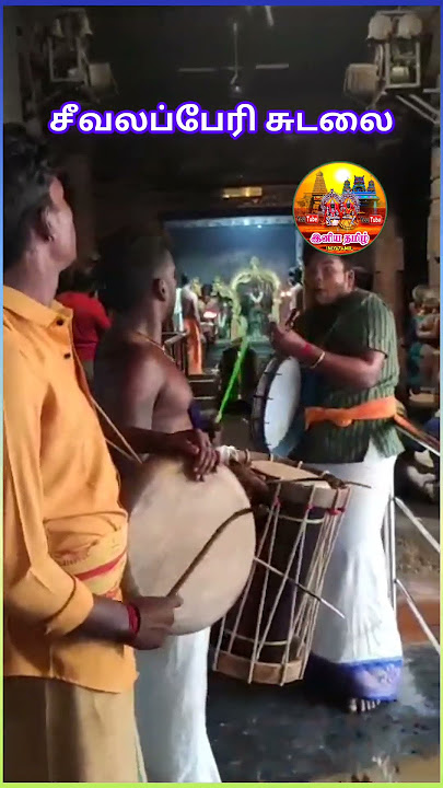சீவலப்பேரி சுடலை | கொம்பு தப்பு | ஆடி சிறப்பு அலங்காரம் தரிசனம் | Seevalaperi Sudalai | IniyaTamil