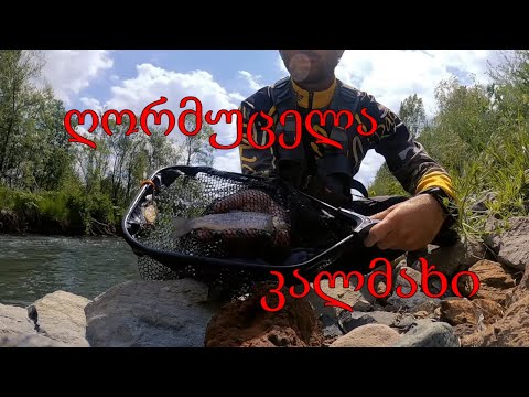 კალმახი იდუმალ მდინარეზე 2021