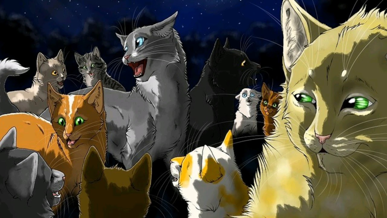 Коты Воители Огнезвёзд и синяя звезда